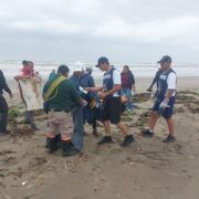 Marina realiza Campaña nacional de limpieza de playas y costas en Tabasco