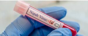 Personal médico trabaja con equipo de protección especial mientras se activan medidas de aislamiento para contener el brote del letal virus Nipah y evitar nuevos contagios.
