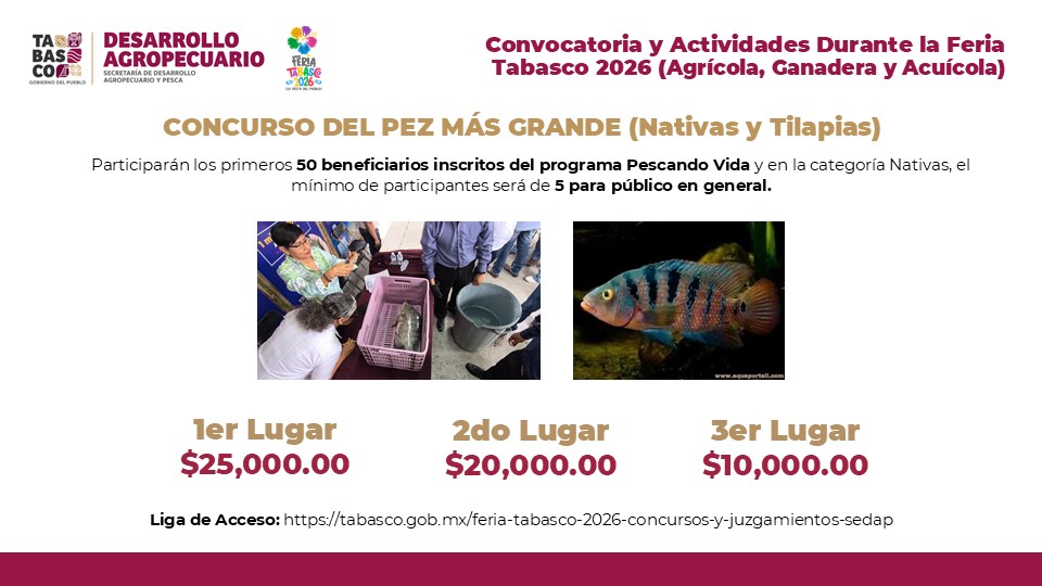 Nuevos concursos acuícolas del programa Pescando Vida