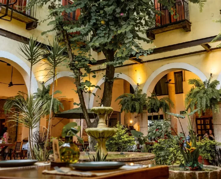 Ocupación hotelera del 55% Balance anual y ajustes porcentuales