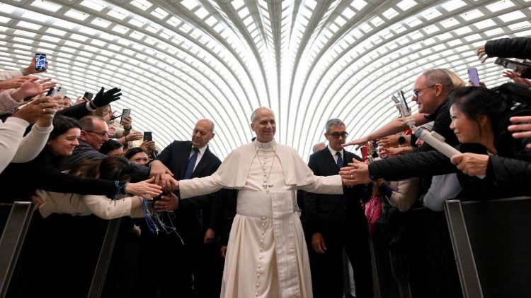 El Papa León XIV llama a perseverar en la fe en tiempos de indiferencia y secularización