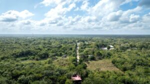 Productoras y productores de Quintana Roo serán beneficiados con la rehabilitación de caminos productivos, una acción que reduce costos de transporte, agiliza el traslado de cosechas y fortalece la economía rural en Yucatán.