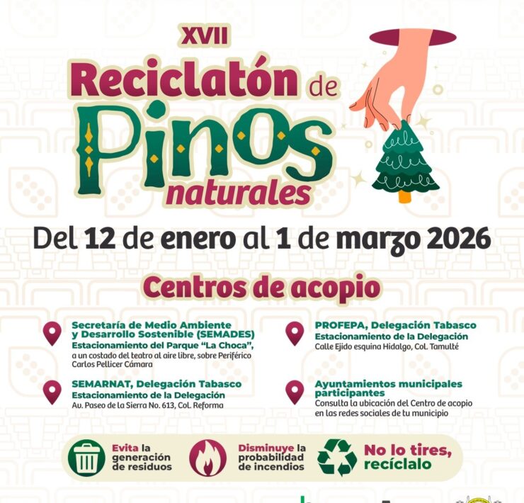 Reciclatón de Pinos Naturales en Tabasco