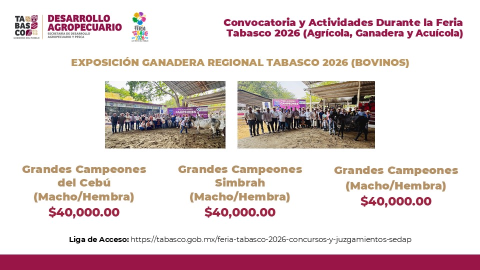 Reconocimientos al sector ganadero