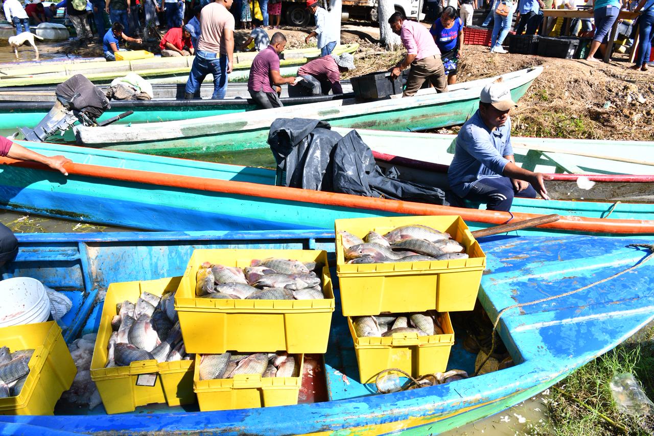 Tabasco con Pescando Vida