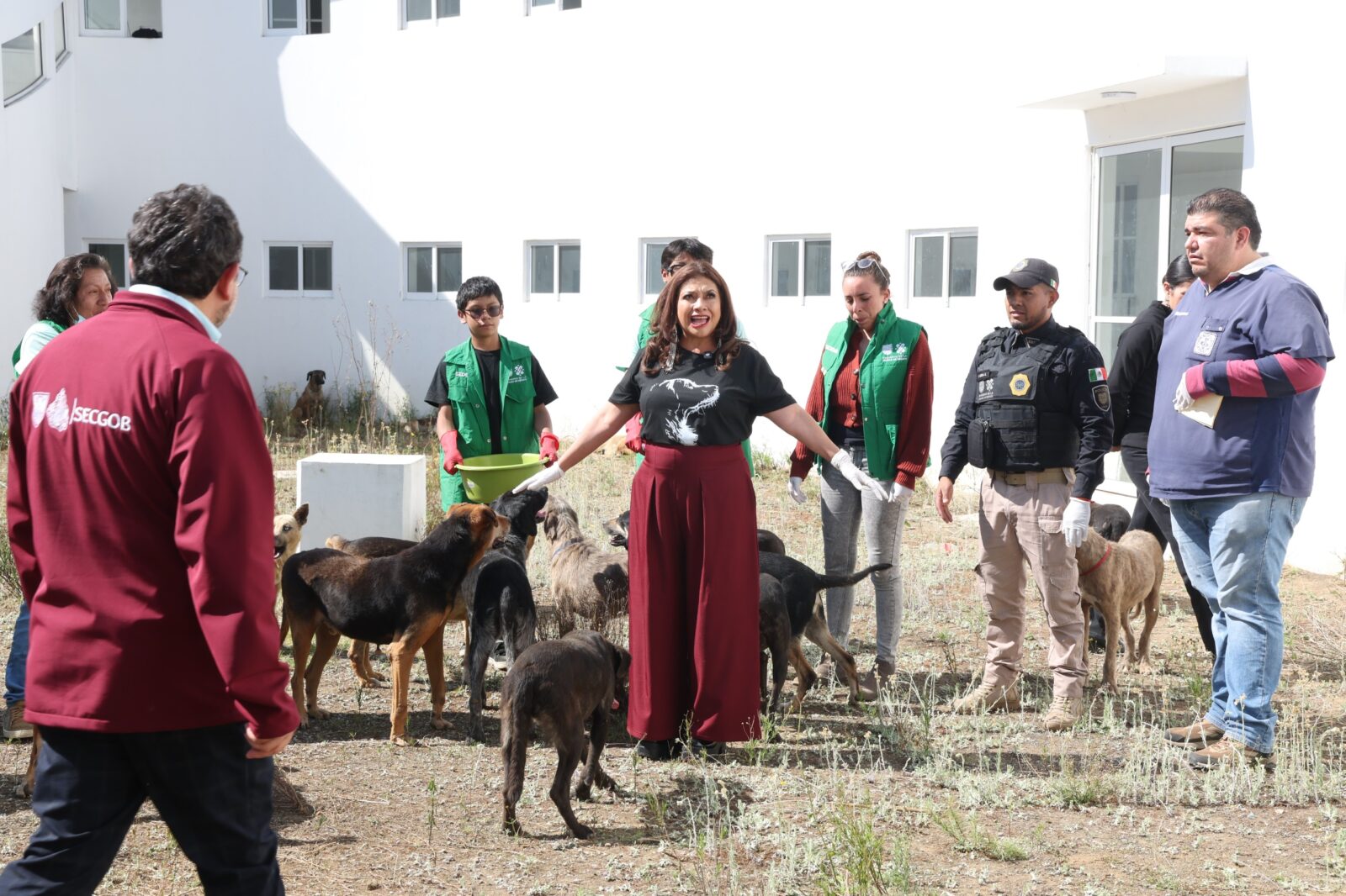 Rescate histórico de animales abre ruta a la adopción y a la justicia ambiental en la Ciudad de México