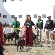 Rescate histórico de animales abre ruta a la adopción y a la justicia ambiental en la Ciudad de México