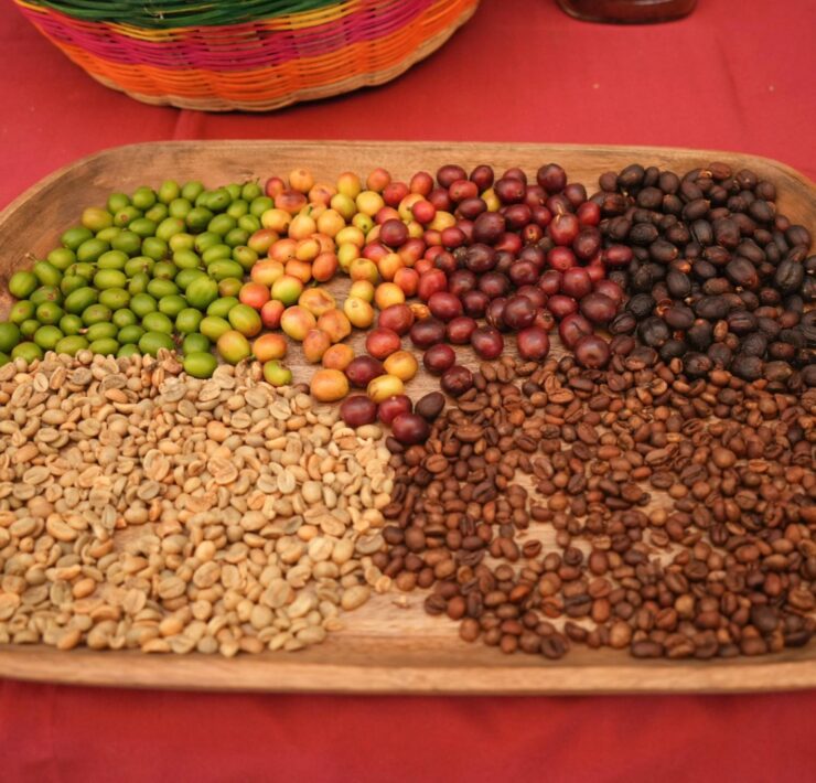 Del grano a la soberanía: Guerrero se perfila como eje del nuevo modelo agroalimentario