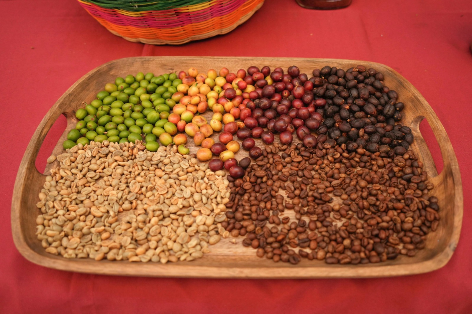 Del grano a la soberanía: Guerrero se perfila como eje del nuevo modelo agroalimentario