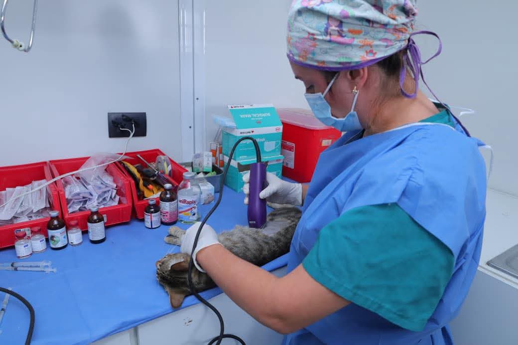 Ayuntamiento de Centro llevó atención directa a la colonia Sabina 