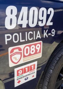 Desde la explanada de Seguridad Ciudadana en Playa del Carmen, autoridades municipales reafirmaron su compromiso con el bienestar animal y la aplicación firme de la ley contra el maltrato.