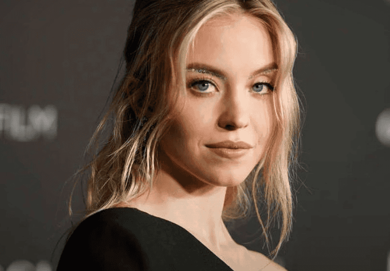 Impacto de su posible incorporación