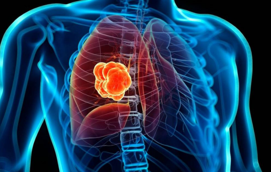 Cómo Funciona el Vector Viral Seguro