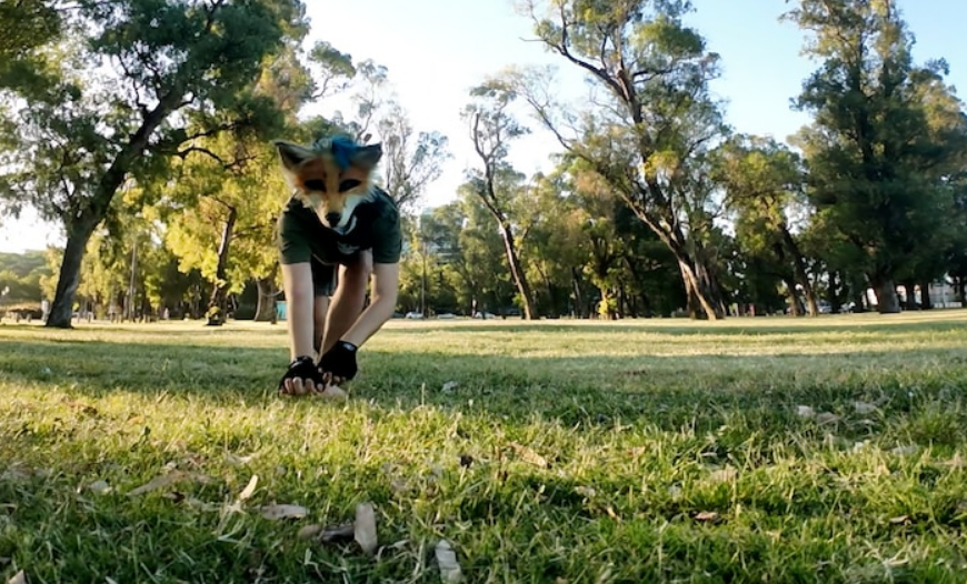 Comunidad Therian y miedo a agresiones