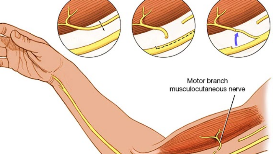 Evidencia científica y respaldo clínico