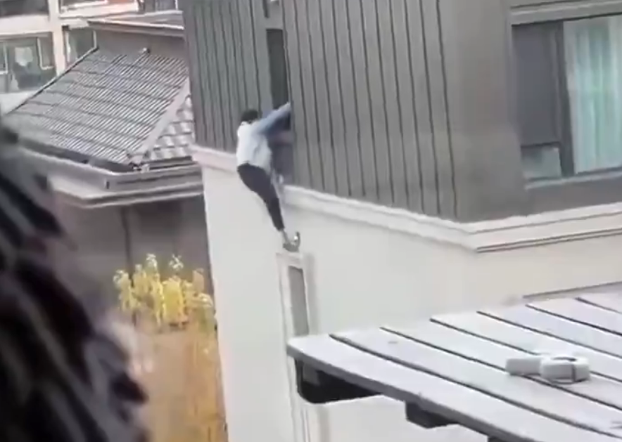 Reacciones, consecuencias y debate social