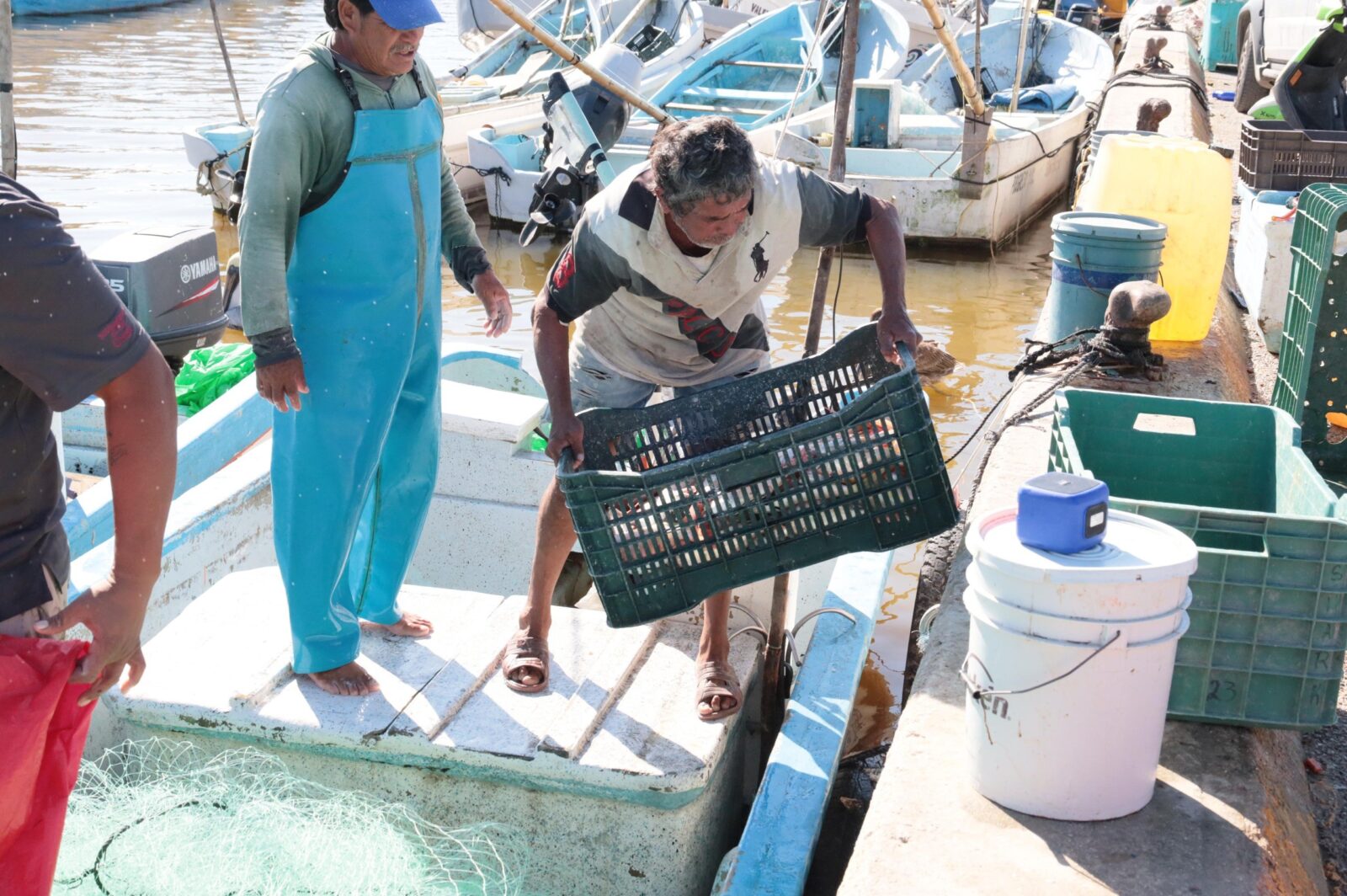 Concluye pesca del mero e inicia veda 2026 en Yucatán