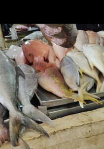 Comerciantes reportan mayor movimiento en pescaderías durante el Inicio de la cuaresma en Yucatán.