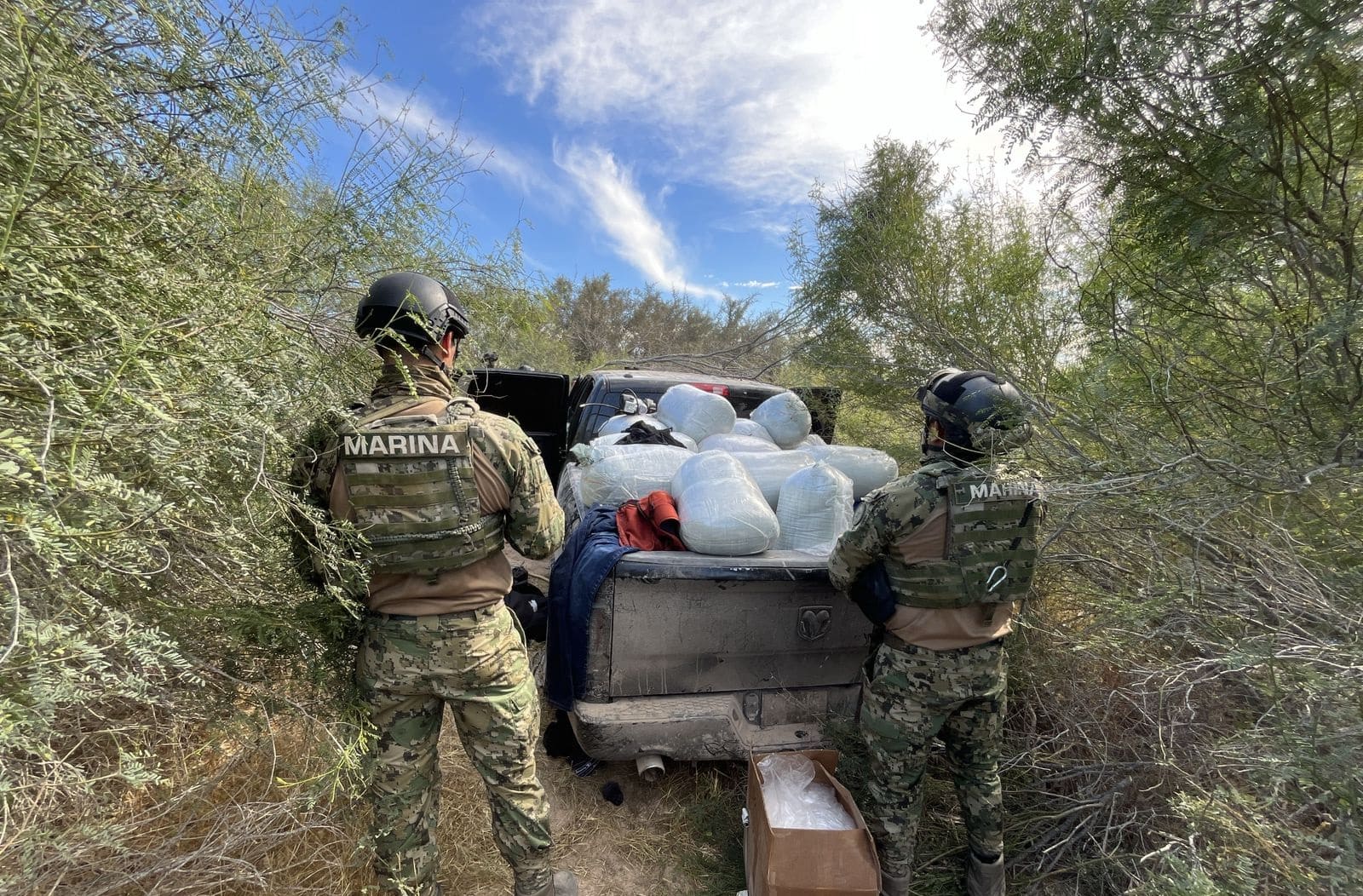 Decomiso millonario de drogas y precursores