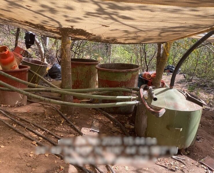 Desmantelan laboratorio clandestino