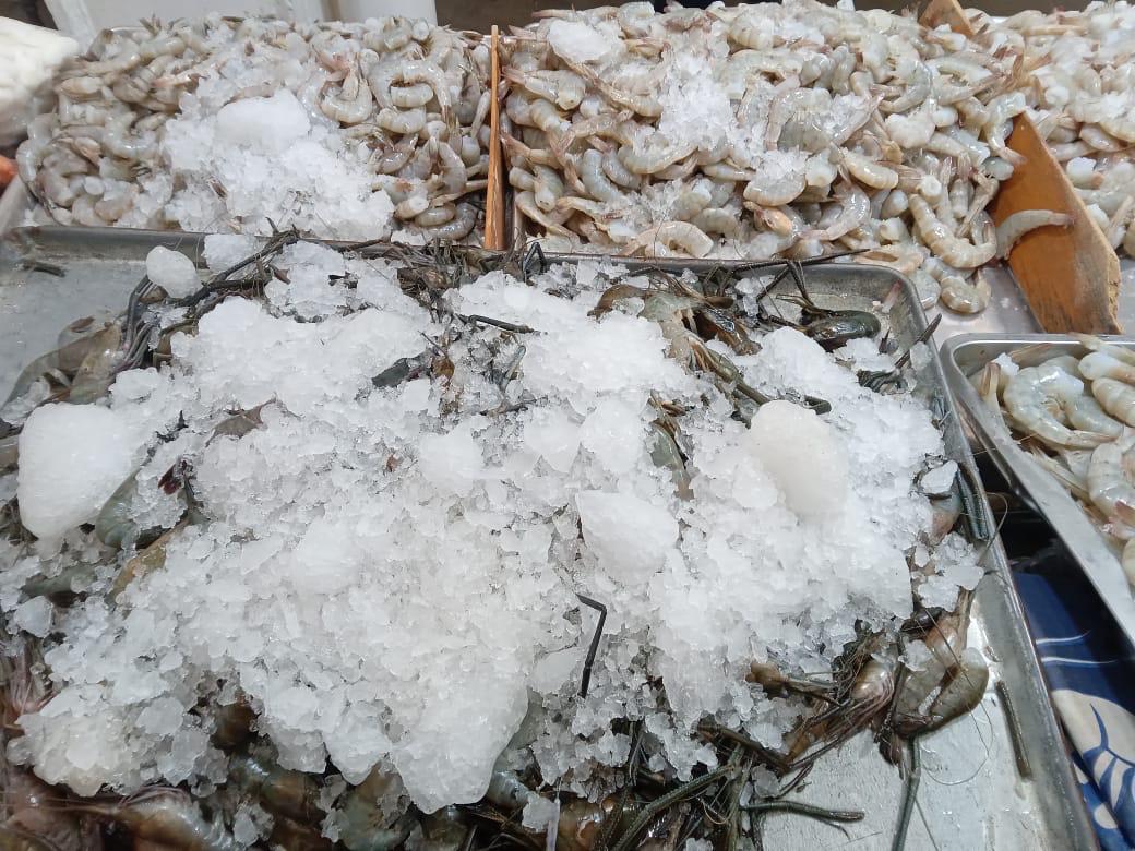 En marcha Operativo de Cuaresma del sector Salud