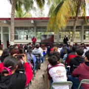 Fomentan conciencia ambiental en estudiantes de Celestún sobre mamíferos marinos