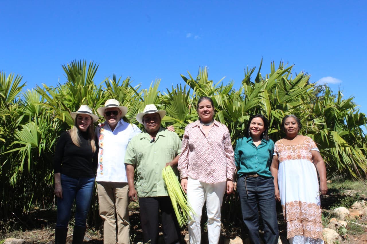 Gobierno impulsa rescate del tejido de jipijapa en Halachó
