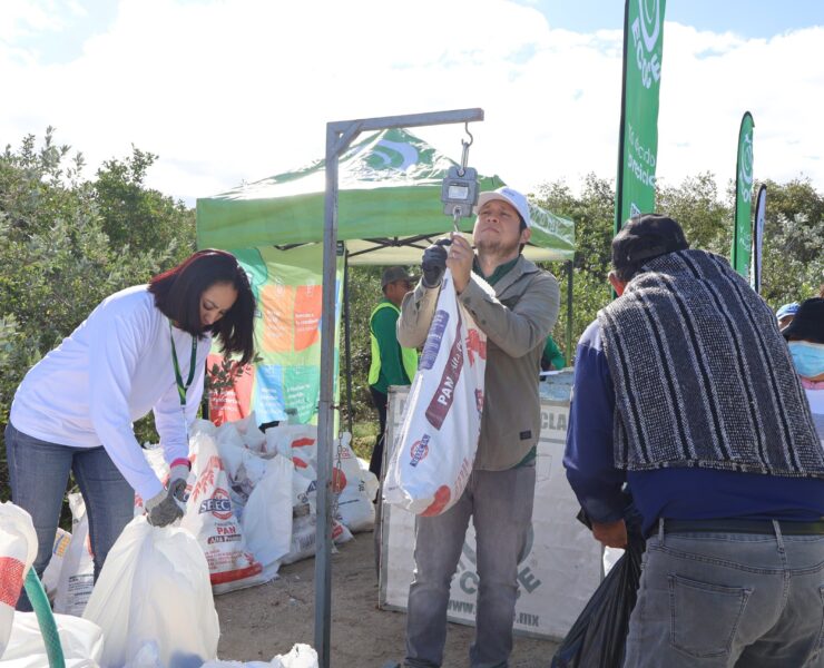 Gobierno protege manglar de Chuburná y patrimonio natural de Yucatán