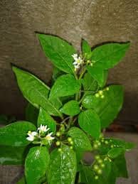 La aparición de manchas rojas en la piel es uno de los principales síntomas del sarampión, por lo que es fundamental acudir al médico ante cualquier señal y reforzar la prevención.