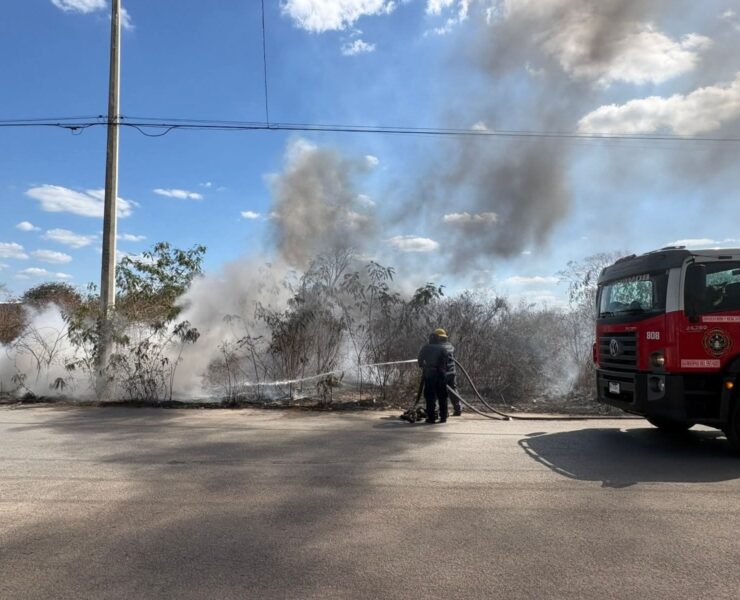 Incendio Controlado en Reserva Cuxtal Protege Pulmón Verde Vital