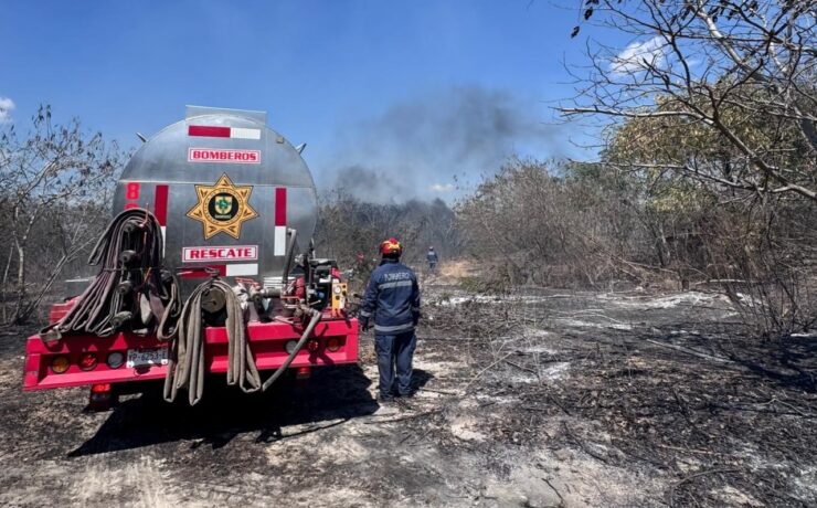 Incendio devastador en Susulá Mérida moviliza a Bomberos