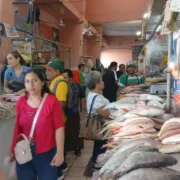 Inicio de la cuaresma en Yucatán Mariscos, los más buscados en temporada