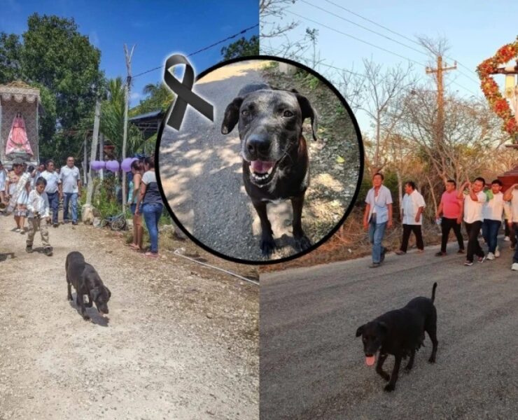 Triste Adiós: La perrita Peregrina, alma fiel del Santuario de Tetiz