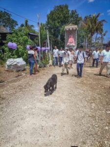 Tetiz de luto: Peregrina, la fiel compañera del santuario, partió