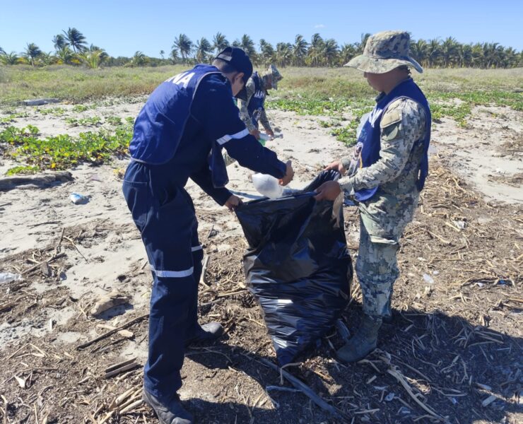Marina realiza Jornada de Limpieza en Playa