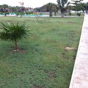 Atardeceres mágicos y rincones llenos de calma hacen del Parque Montecristo el lugar ideal para una cita especial al aire libre.