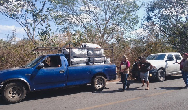 Clausura Impactante: Profepa asegura carbón y predios en Mérida