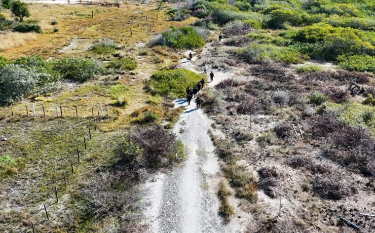 Profepa frena desmonte de manglar en Chelem con operativo