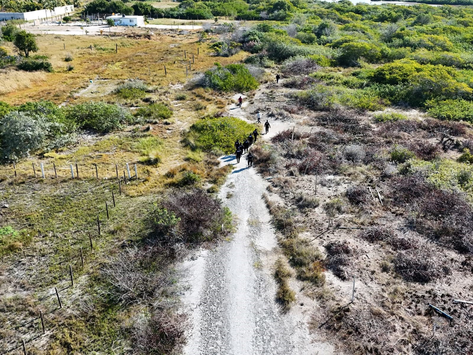 Profepa frena desmonte de manglar en Chelem con operativo