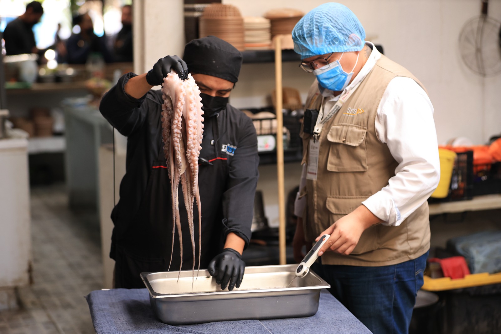 Recomendaciones para adquirir productos frescos y seguros