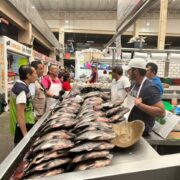 Salud Tabasco pone en marcha Operativo de Cuaresma en los 17 municipios