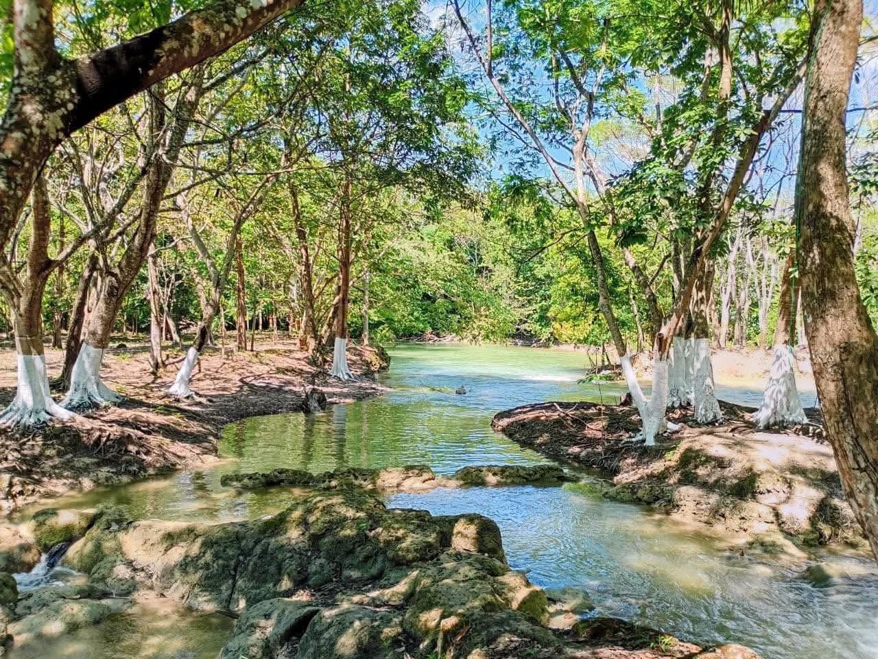 Un fenómeno natural sorprendente