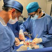 Un acto que salva vidas: Yucatán impulsa la donación en el Día Mundial del Trasplante de Órganos y Tejidos