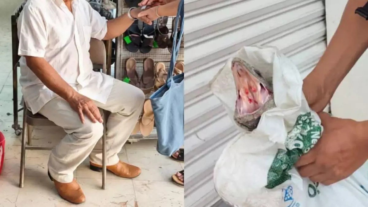 ¡En Tizimín! Abuelito termina mordido no por un perro sino por una iguana