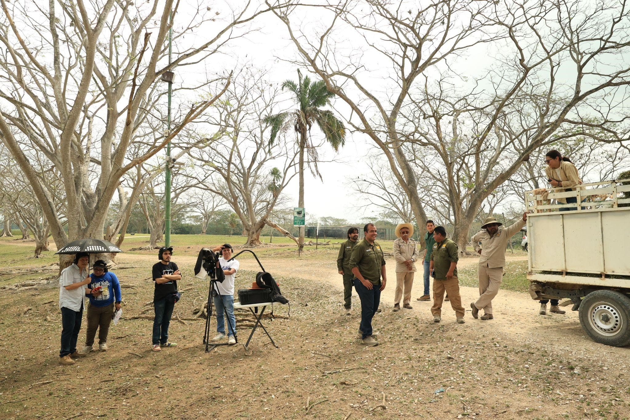 Alianzas estratégicas y raíces culturales