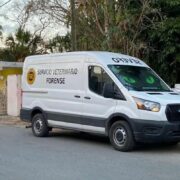 Crueldad Alarmante: Animales envenenados y gallos muertos preocupan en Cacalchén