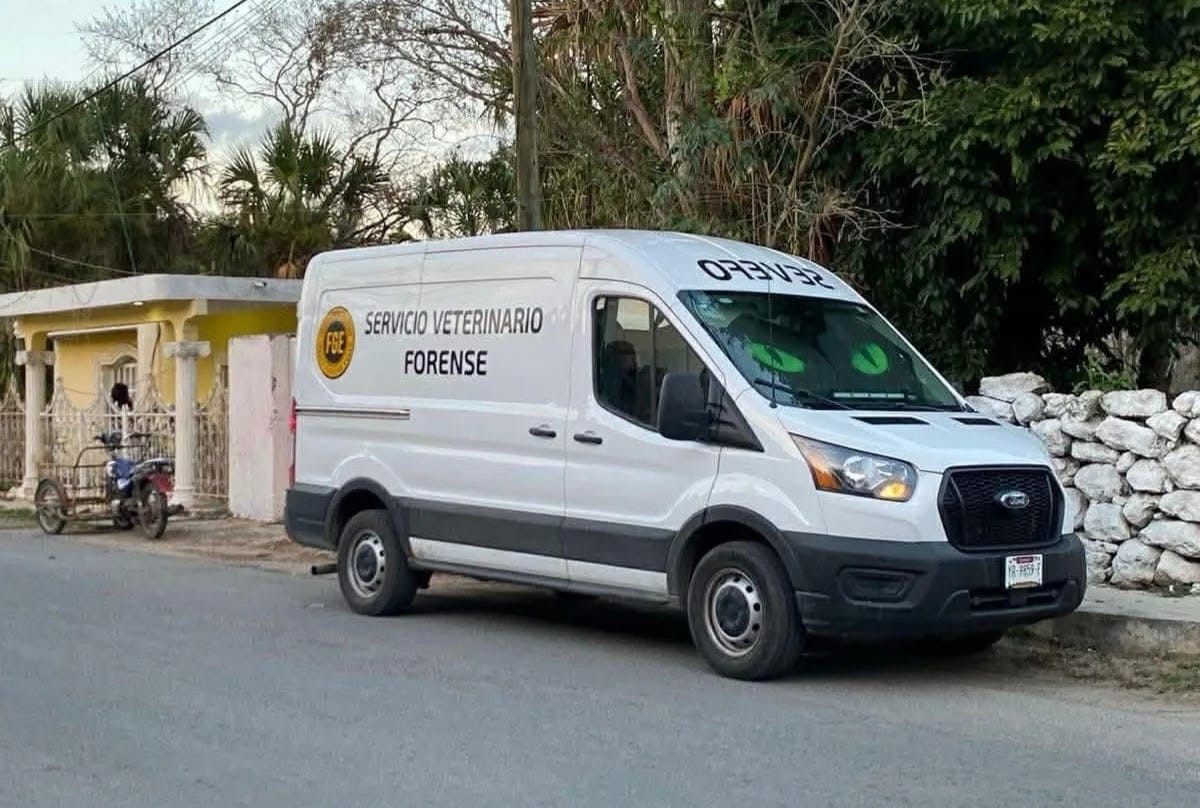 Crueldad Alarmante: Animales envenenados y gallos muertos preocupan en Cacalchén