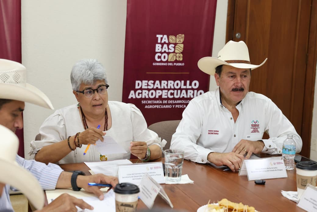 Blindaje sanitario y diagnóstico regional