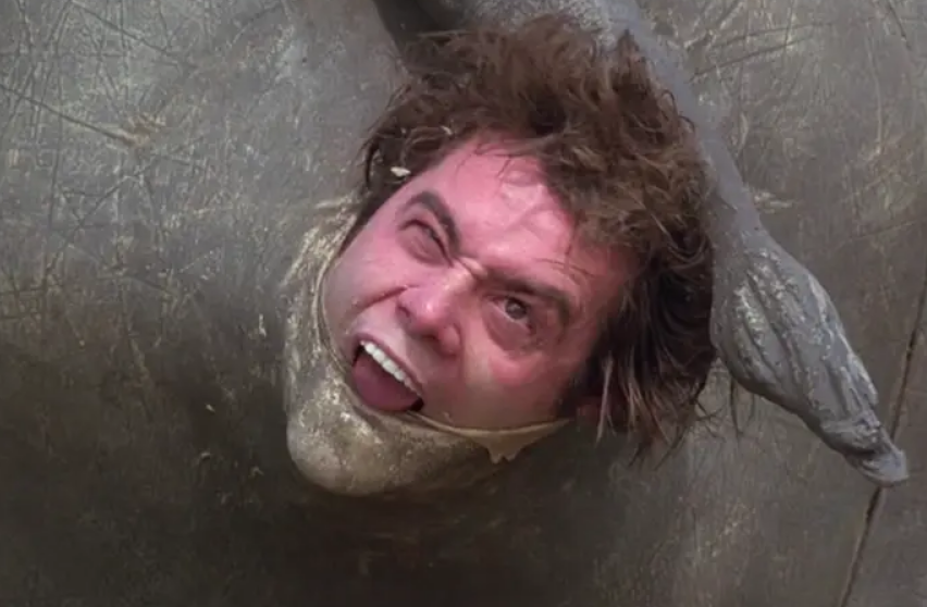 La Historia Detrás del Rinoceronte Mecánico