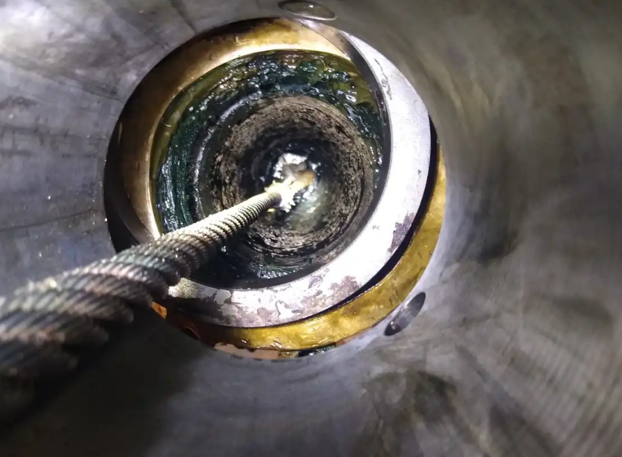 Aplicaciones potenciales del hallazgo